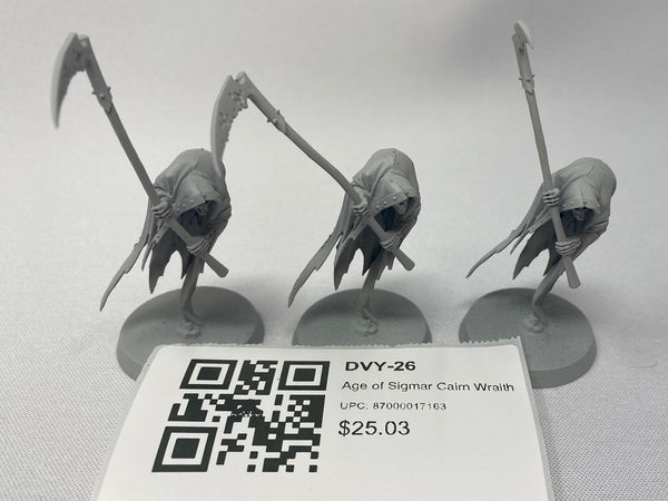 Age of Sigmar Cairn Wraith DVY-26