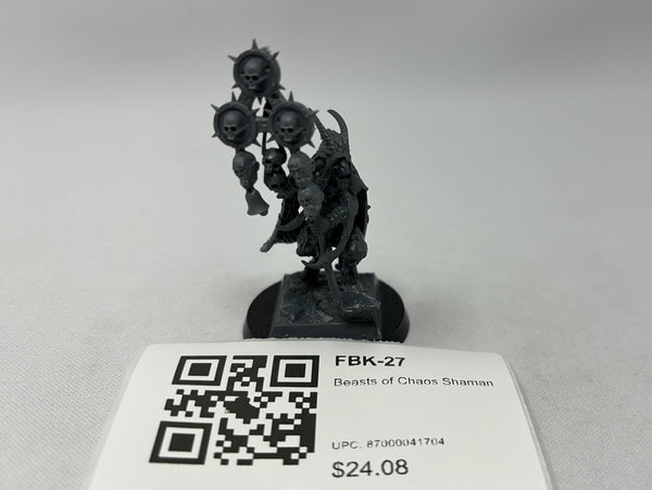 Beasts of Chaos Shaman FBK-27
