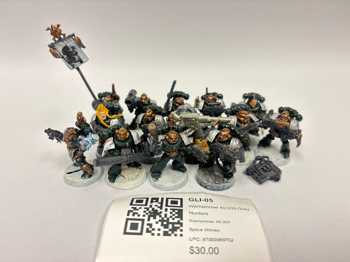Warhammer 40,000 Grey Hunters GLI-05