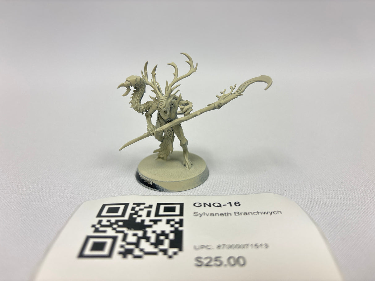 Sylvaneth Branchwych GNQ-16