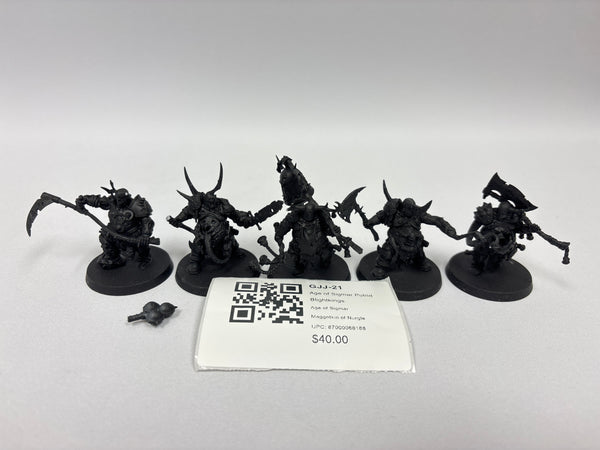 Age of Sigmar Putrid Blightkings GJJ-21