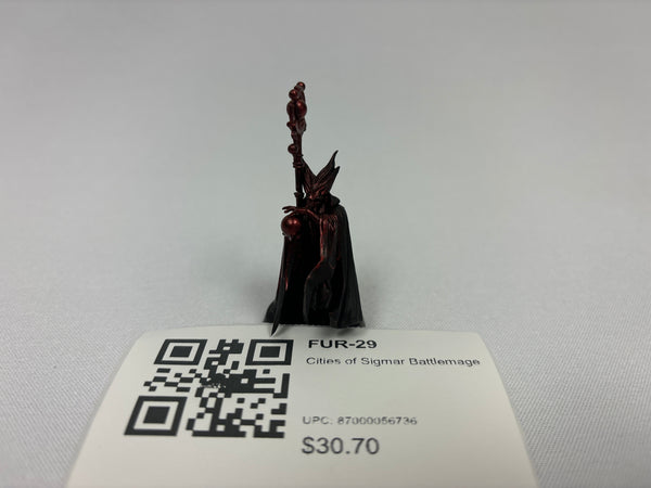 Cities of Sigmar Battlemage FUR-29