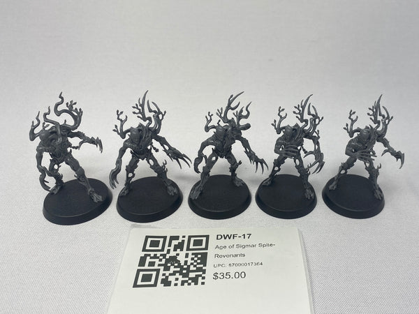Age of Sigmar Spite-Revenants DWF-17
