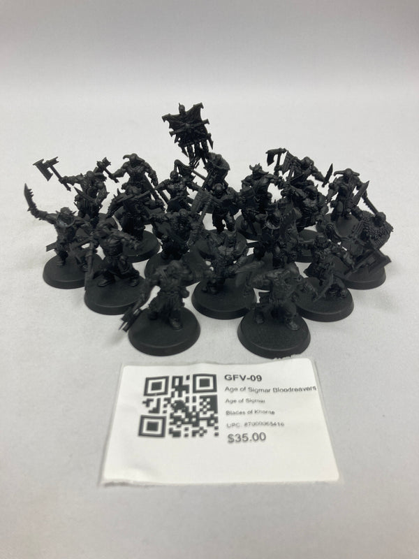 Age of Sigmar Bloodreavers GFV-09