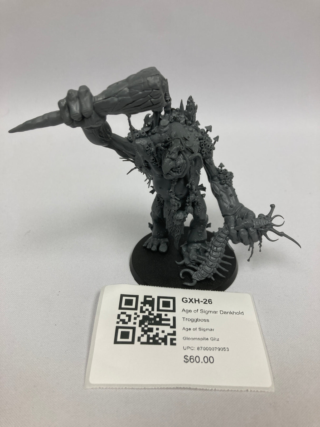 Age of Sigmar Dankhold Troggboss GXH-26