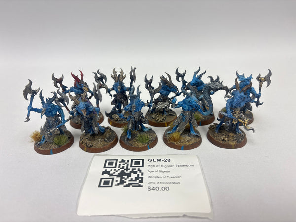Age of Sigmar Tzaangors GLM-28