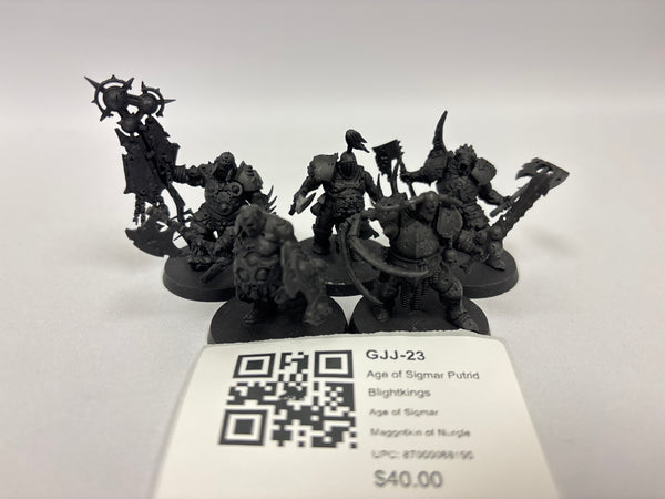 Age of Sigmar Putrid Blightkings GJJ-23