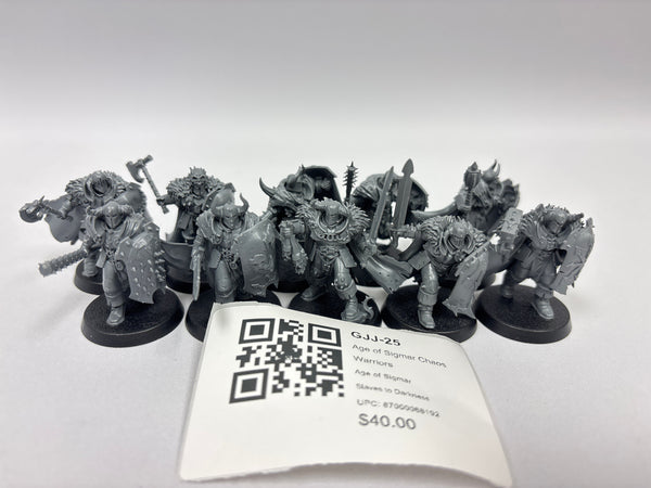 Age of Sigmar Chaos Warriors GJJ-25