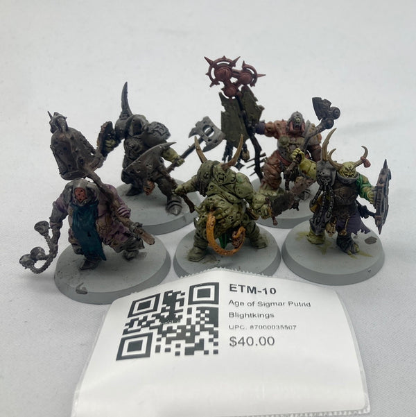 Age of Sigmar Putrid Blightkings ETM-10