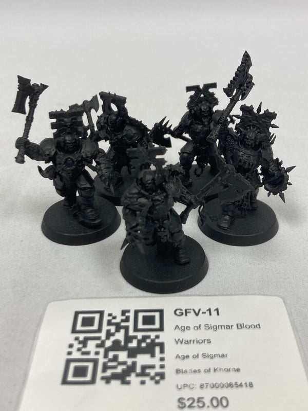 Age of Sigmar Blood Warriors GFV-11