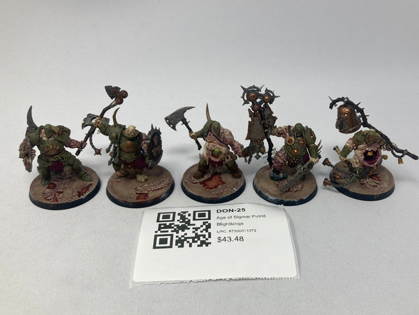 Age of Sigmar Putrid Blightkings DON-25