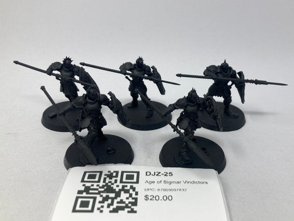 Age of Sigmar Vindictors DJZ-25