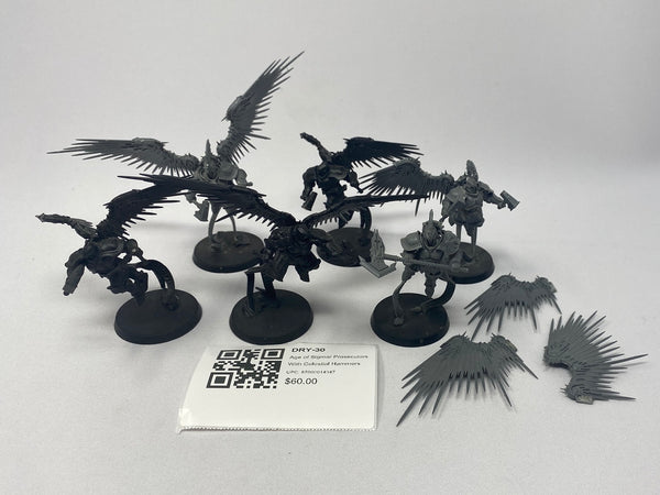Age of Sigmar Prosecutors With Celestial Hammers DRY-30