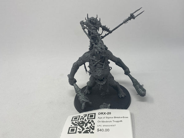 Age of Sigmar Breaka-Boss On Mirebrute Troggoth DRX-20