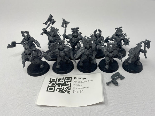 Age of Sigmar Blood Warriors DUM-16