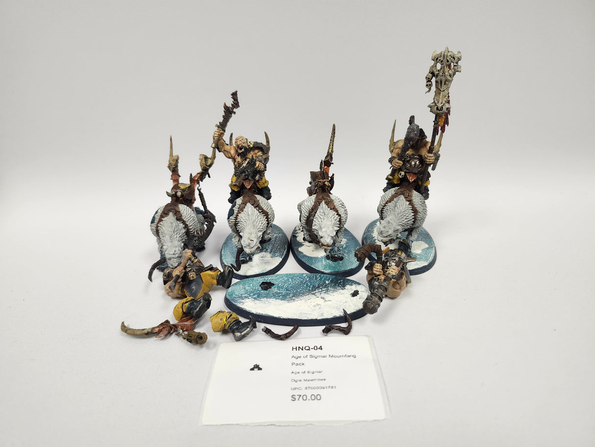Age of Sigmar Thundertusk Beastriders HNQ-04