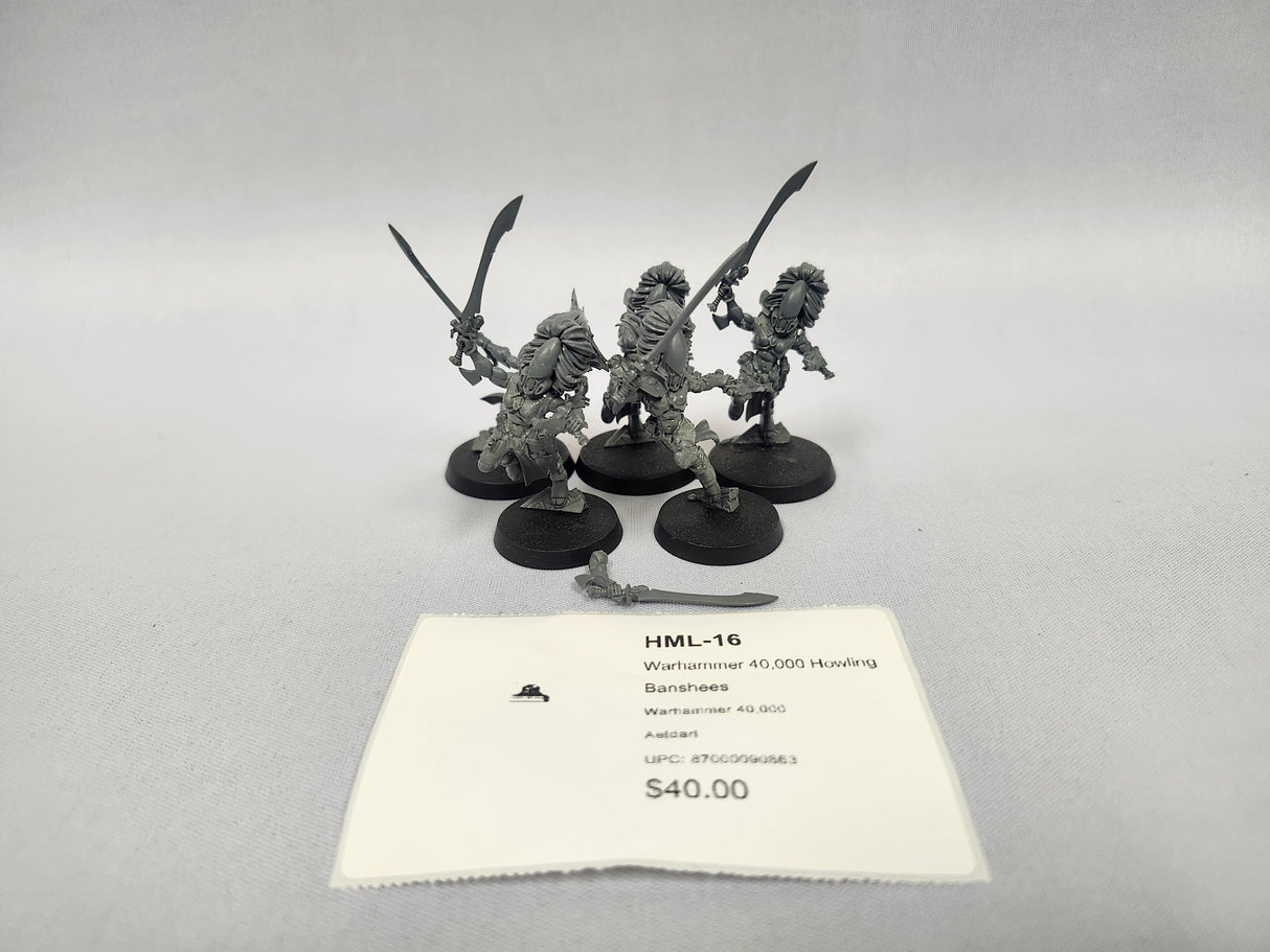 Warhammer 40,000 Howling Banshees HML-16