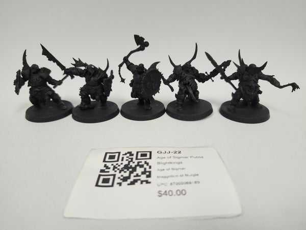 Age of Sigmar Putrid Blightkings GJJ-22