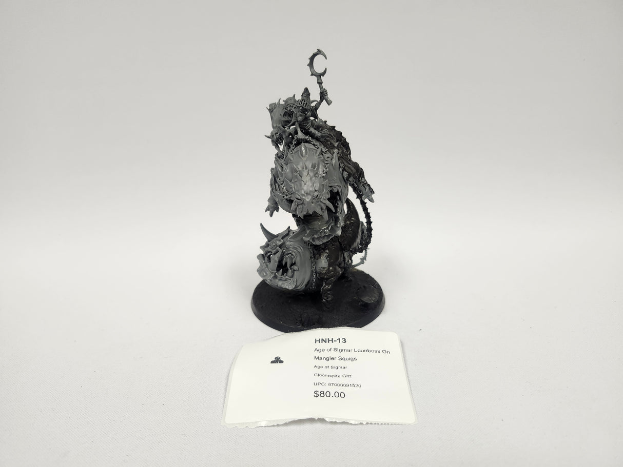 Age of Sigmar Loonboss On Mangler Squigs HNH-13