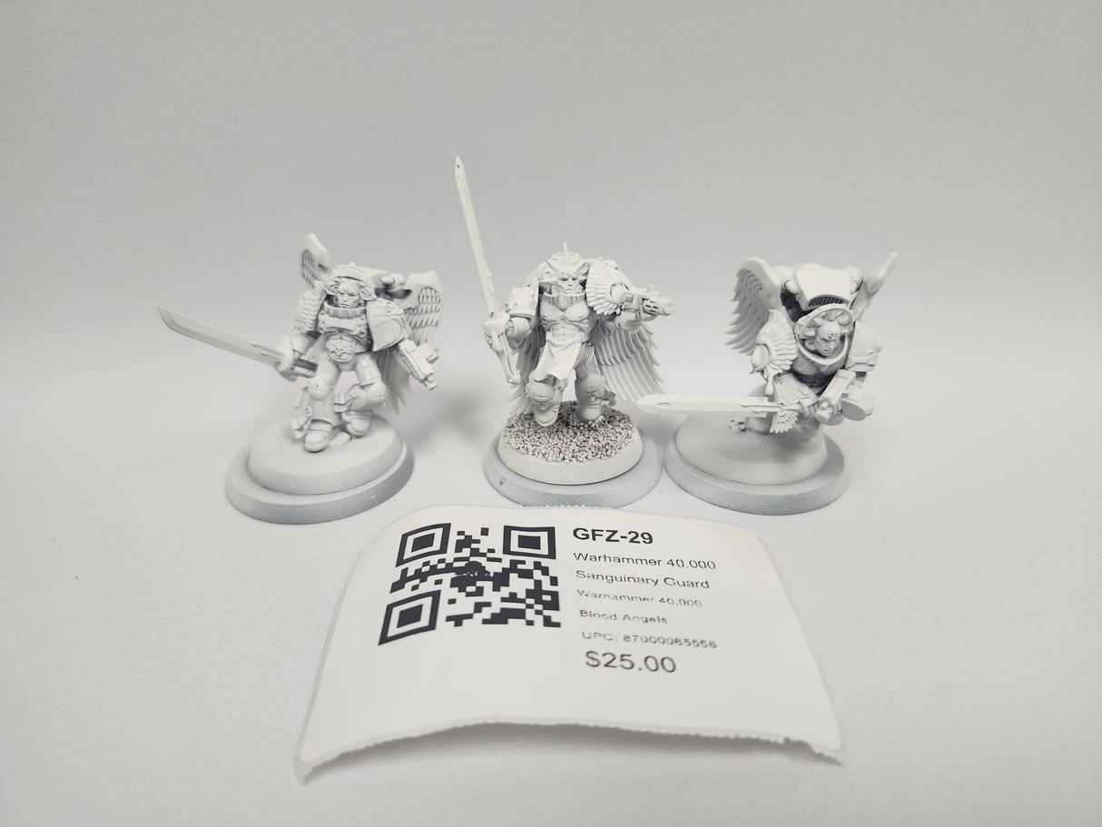 Warhammer 40,000 Sanguinary Guard GFZ-29