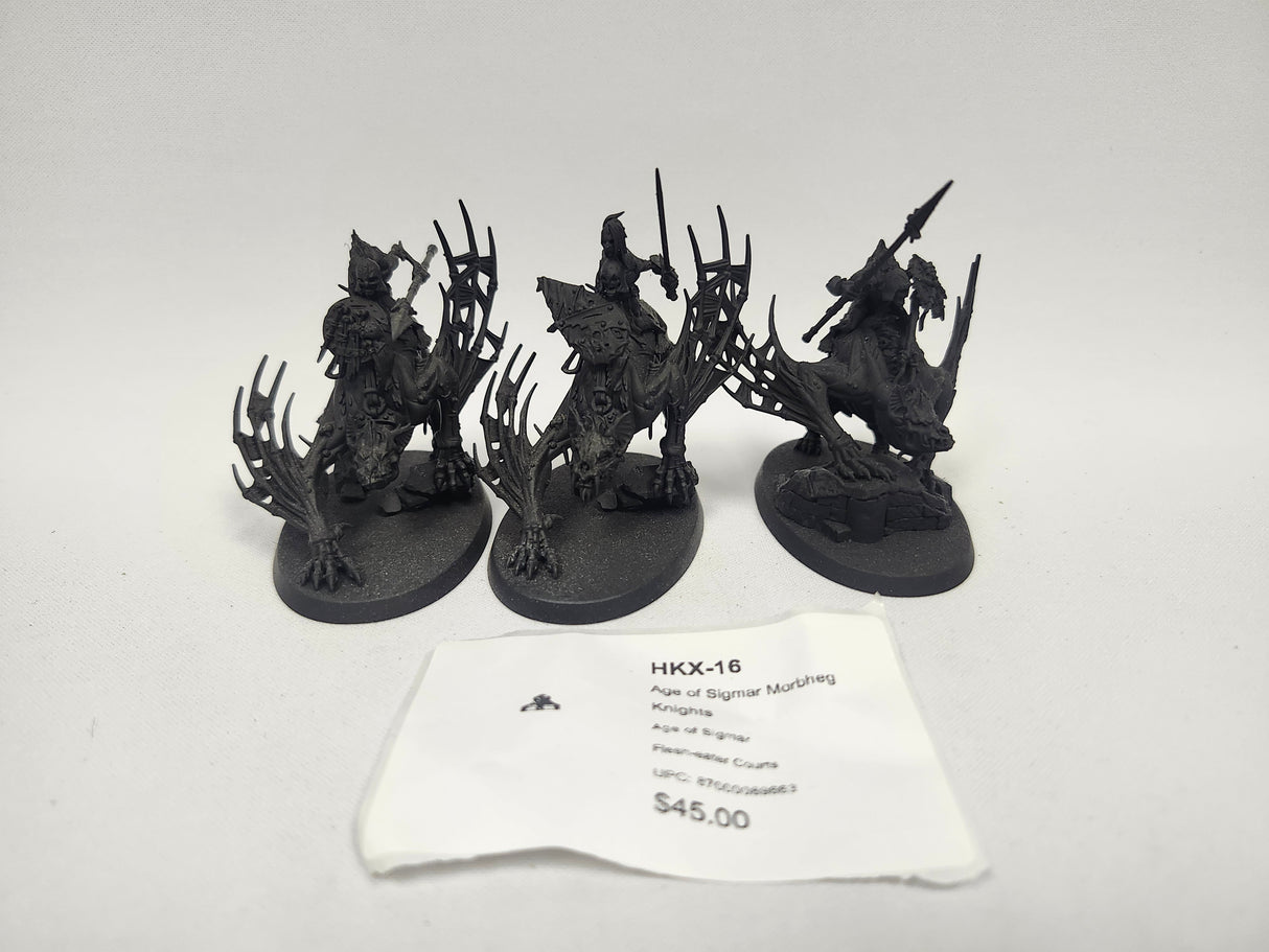 Age of Sigmar Morbheg Knights HKX-16
