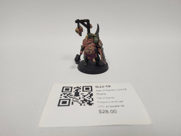 Age of Sigmar Lord Of Blights GJJ-19