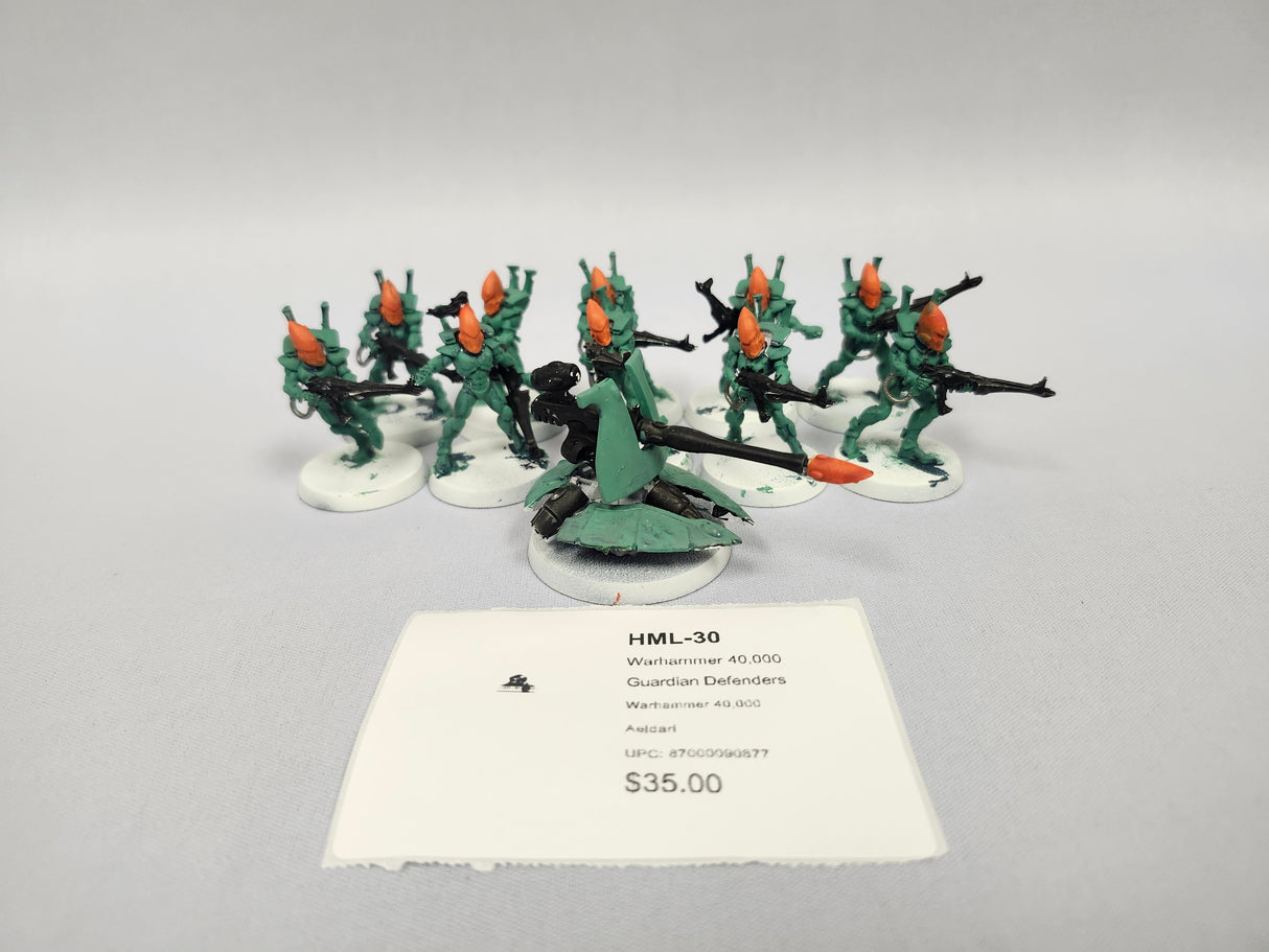Warhammer 40,000 Guardian Defenders HML-30