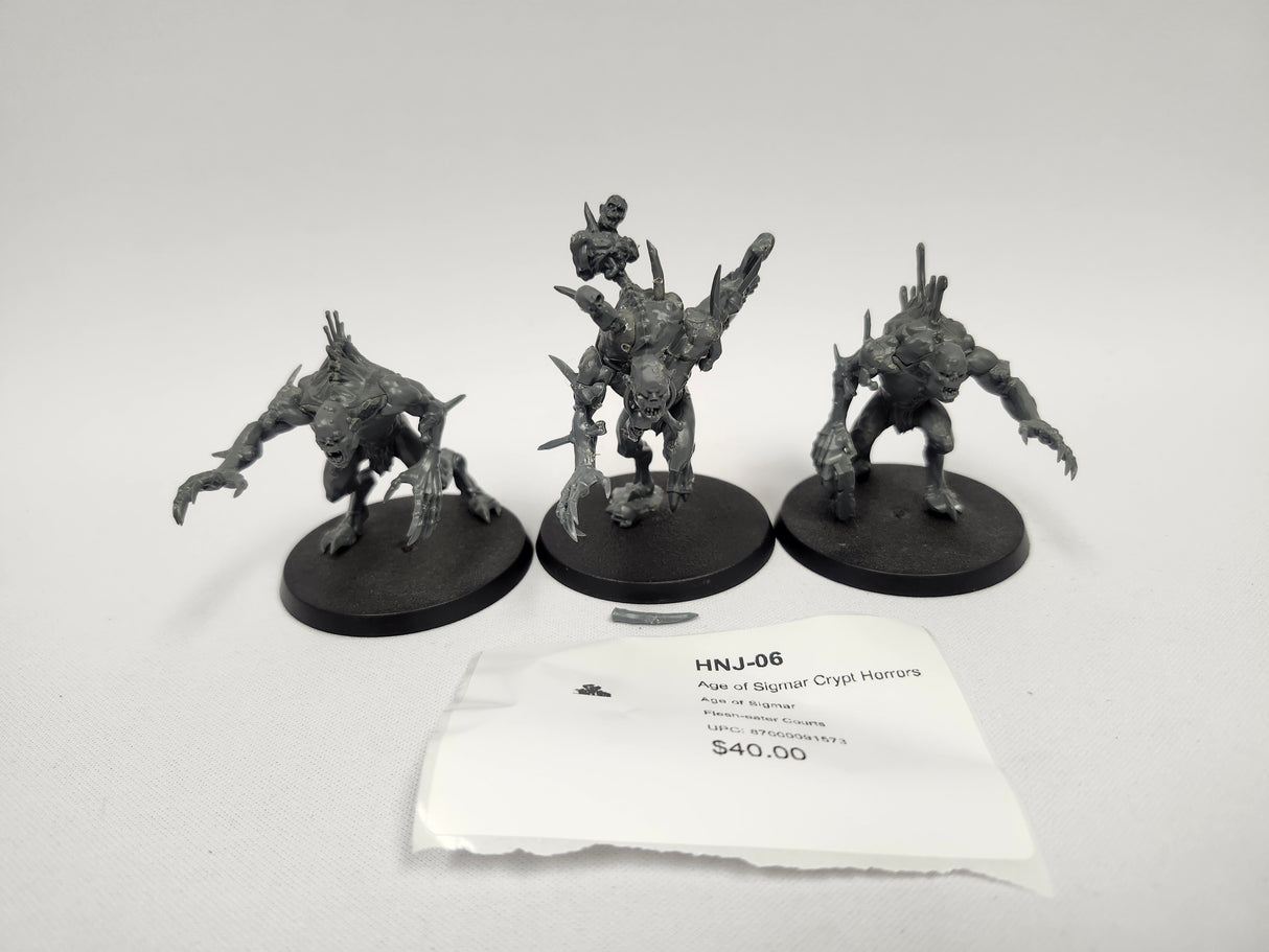 Age of Sigmar Crypt Horrors HNJ-06