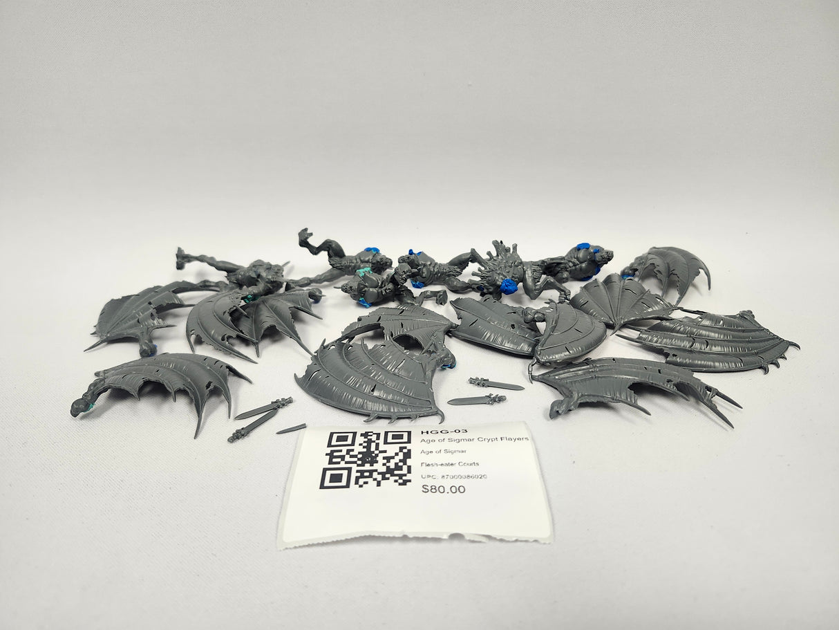 Age of Sigmar Crypt Flayers HGG-03