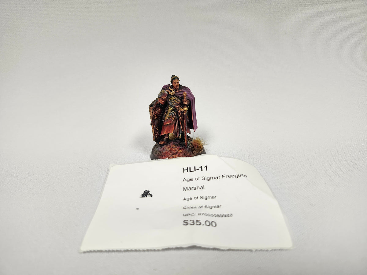 Age of Sigmar Freeguild Marshal HLI-11