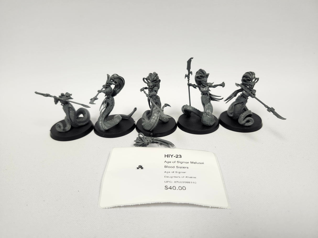 Age of Sigmar Melusai Blood Sisters HIY-23