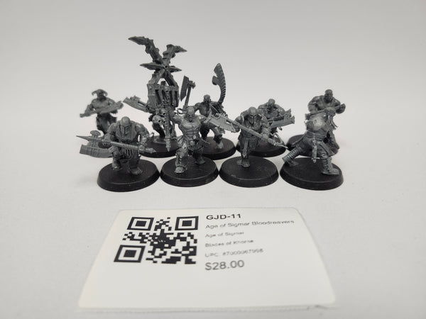 Age of Sigmar Bloodreavers GJD-11