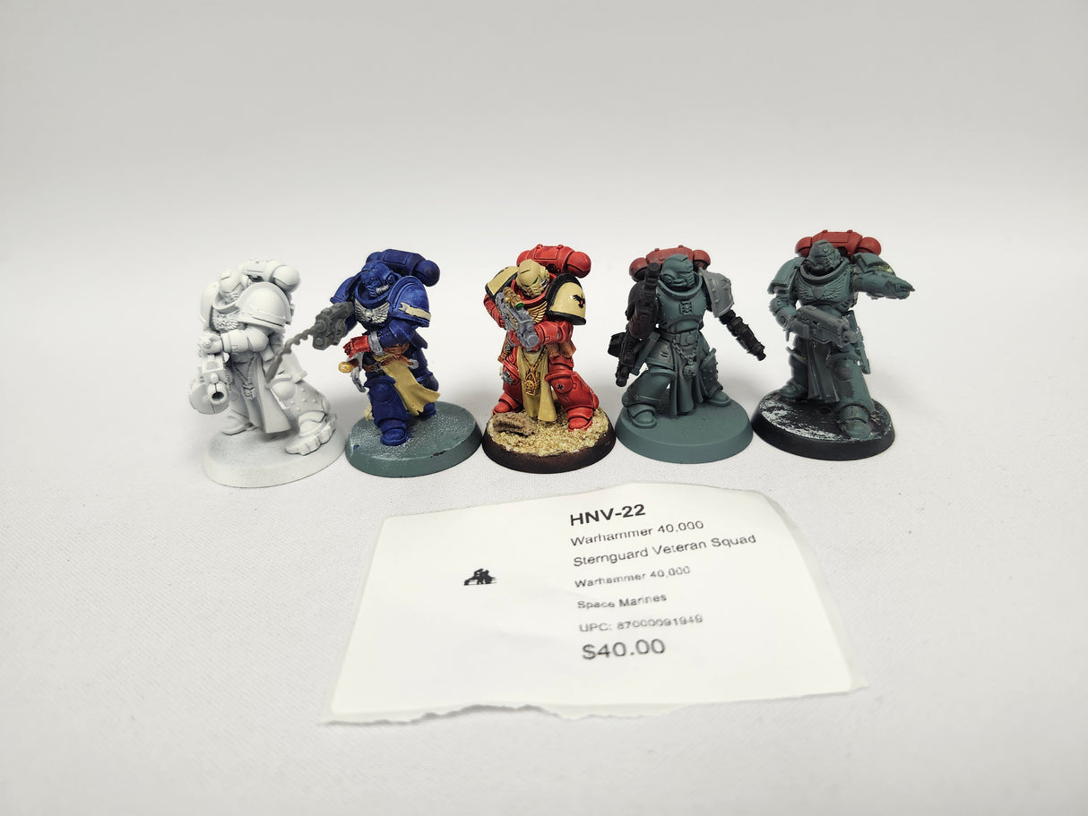 Warhammer 40,000 Sternguard Veteran Squad HNV-22