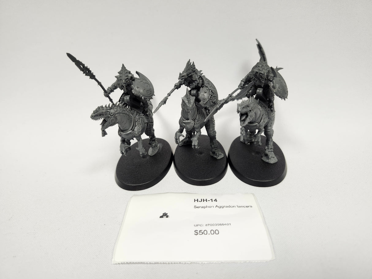 Seraphon Aggradon lancers HJH-14
