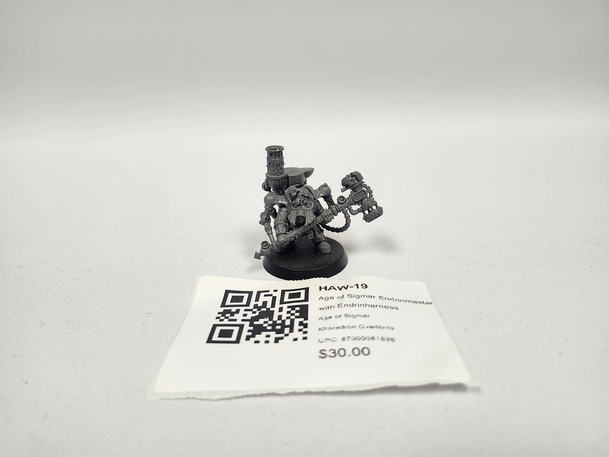 Age of Sigmar Endrinmaster with Endrinharness HAW-19