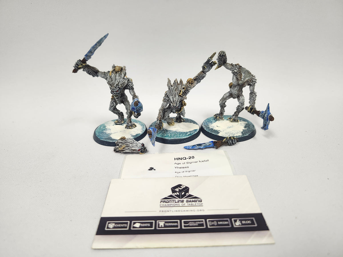 Age of Sigmar Icefall Yhetees HNQ-20