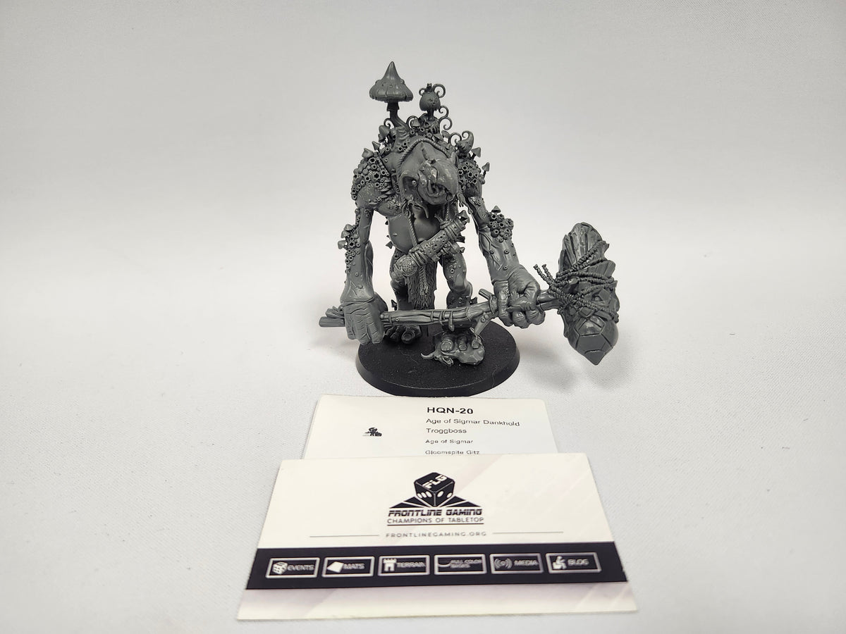 Age of Sigmar Dankhold Troggboss HQN-20