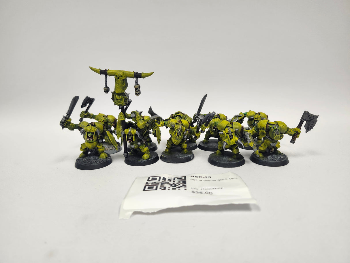 Age of Sigmar Black Orcs HEC-25