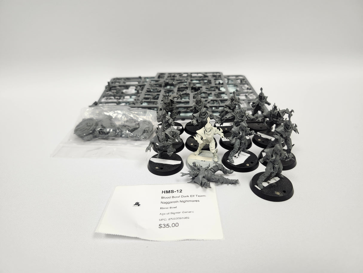 Blood Bowl Dark Elf Team: Naggaroth Nightmares HMS-12