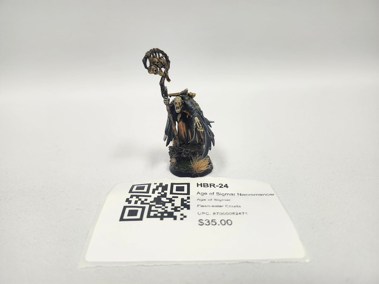 Age of Sigmar Necromancer HBR-24