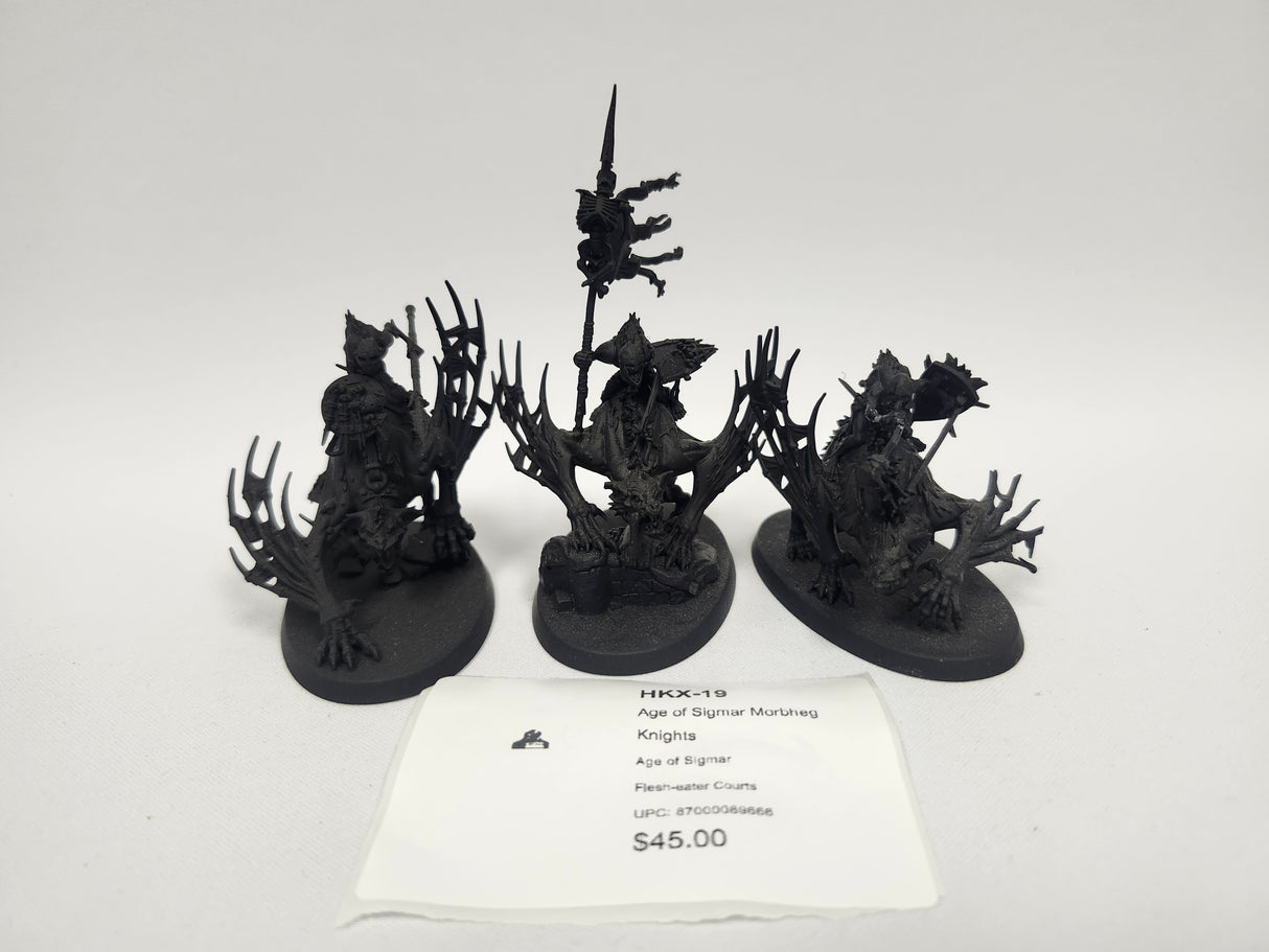 Age of Sigmar Morbheg Knights HKX-19