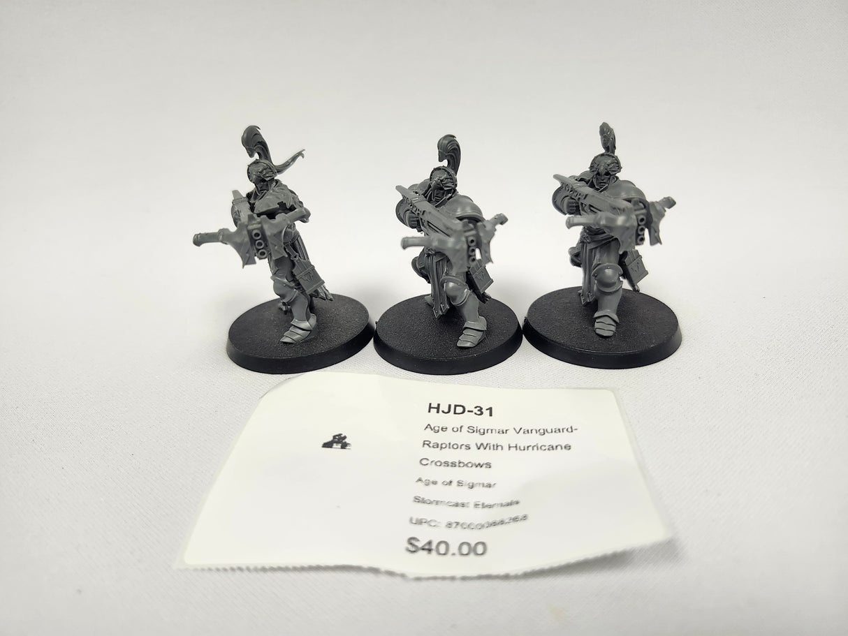 Age of Sigmar Vanguard-Raptors With Hurricane Crossbows HJD-31