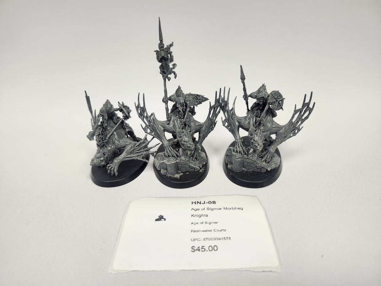 Age of Sigmar Morbheg Knights HNJ-08