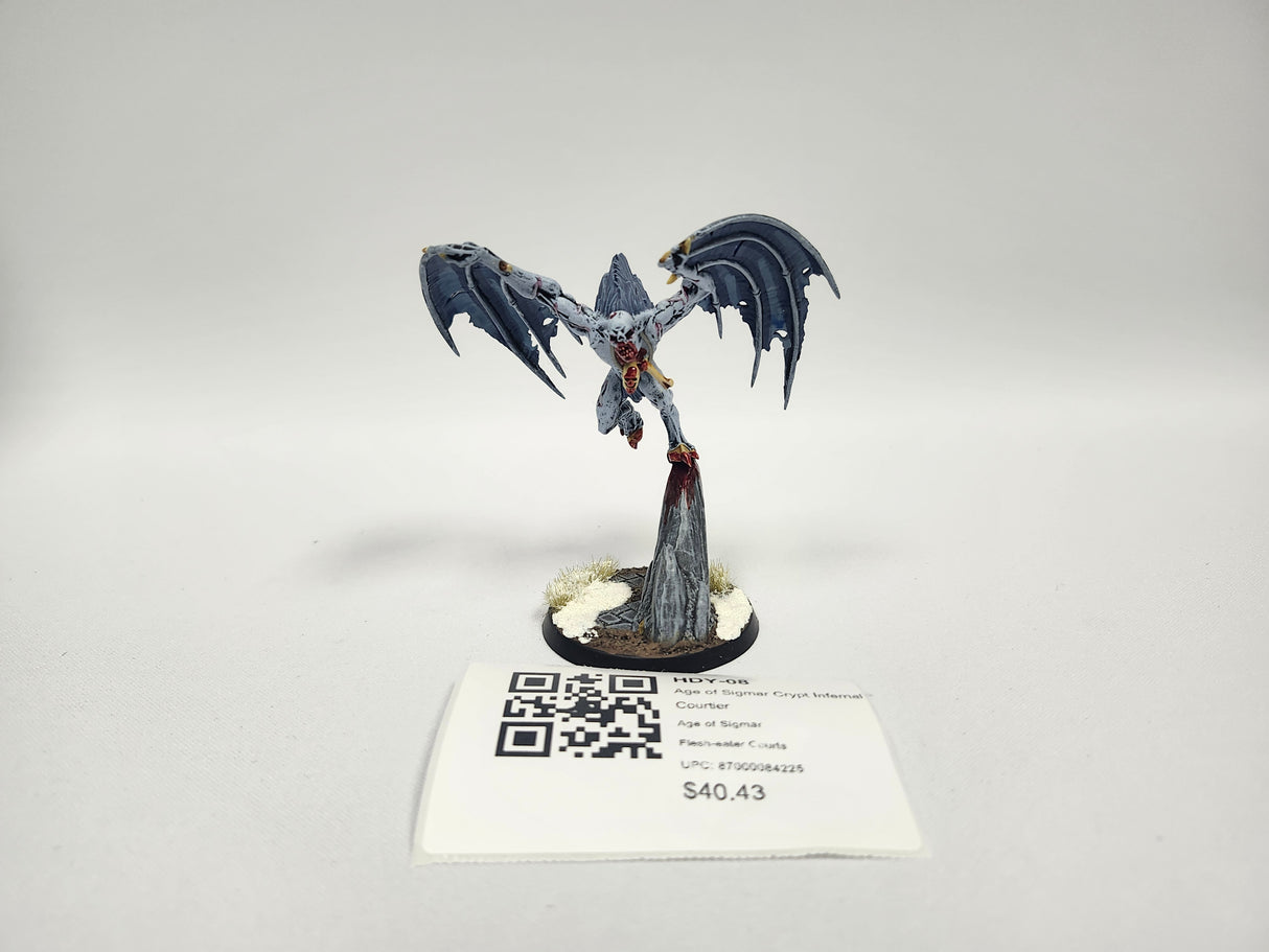 Age of Sigmar Crypt Infernal Courtier HDY-08