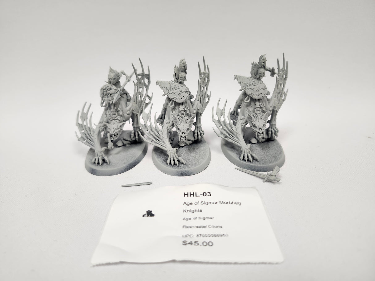 Age of Sigmar Morbheg Knights HHL-03