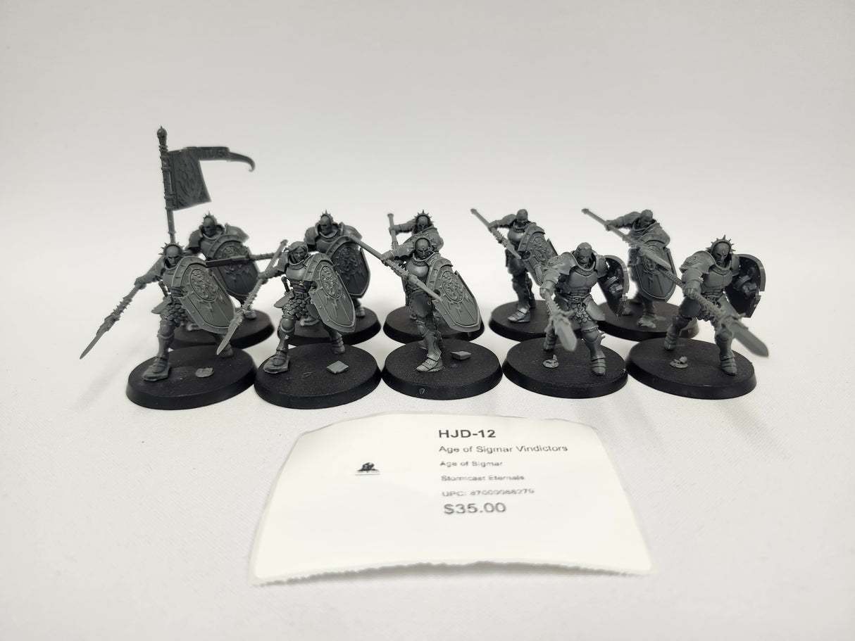 Age of Sigmar Vindictors HJD-12