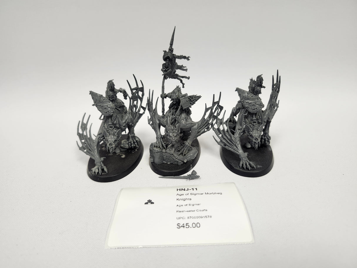 Age of Sigmar Morbheg Knights HNJ-11