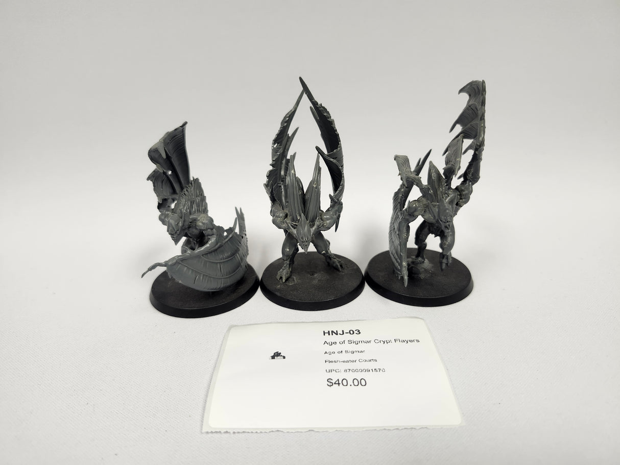 Age of Sigmar Crypt Flayers HNJ-03