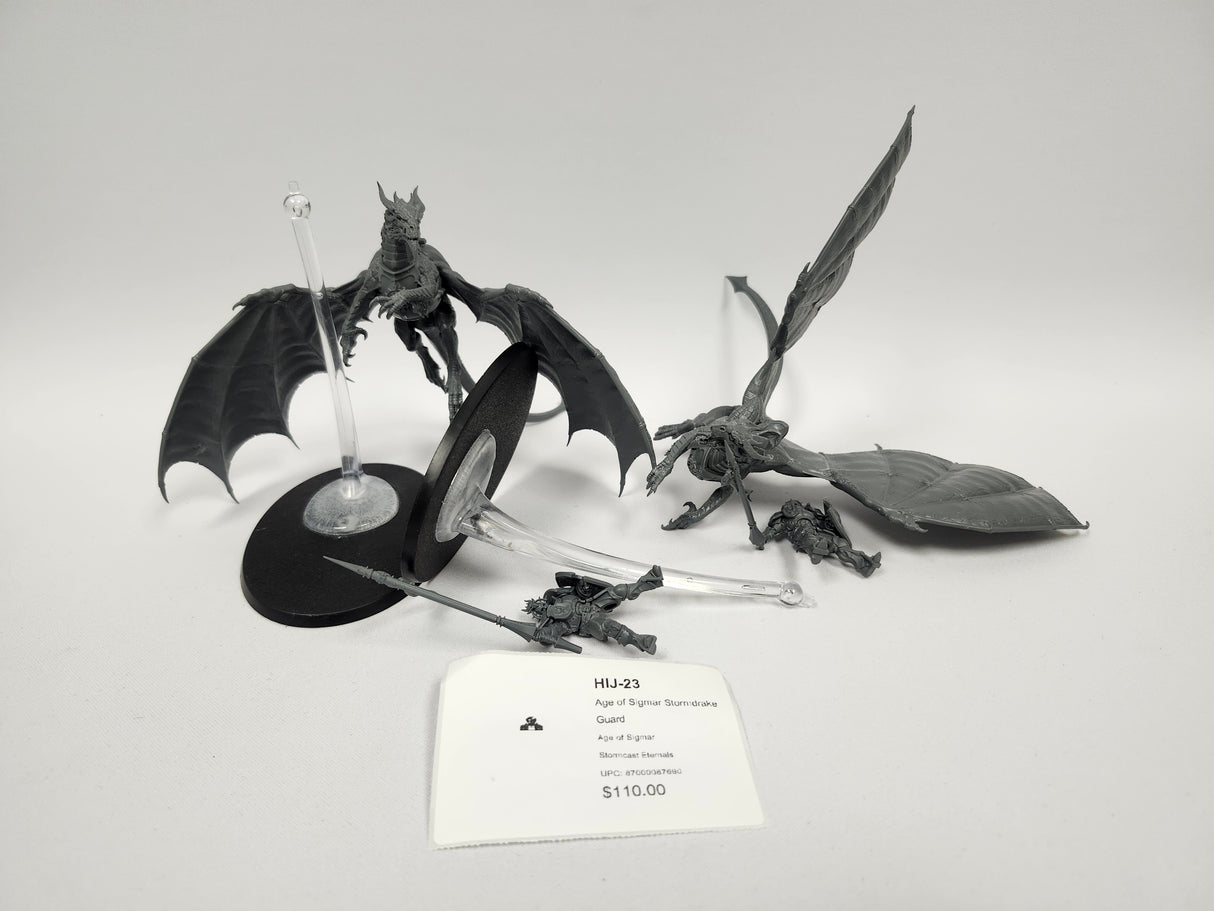 Age of Sigmar Stormdrake Guard HIJ-23