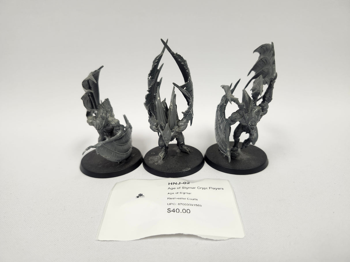 Age of Sigmar Crypt Flayers HNJ-02